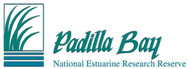 Padilla Bay Reserve
